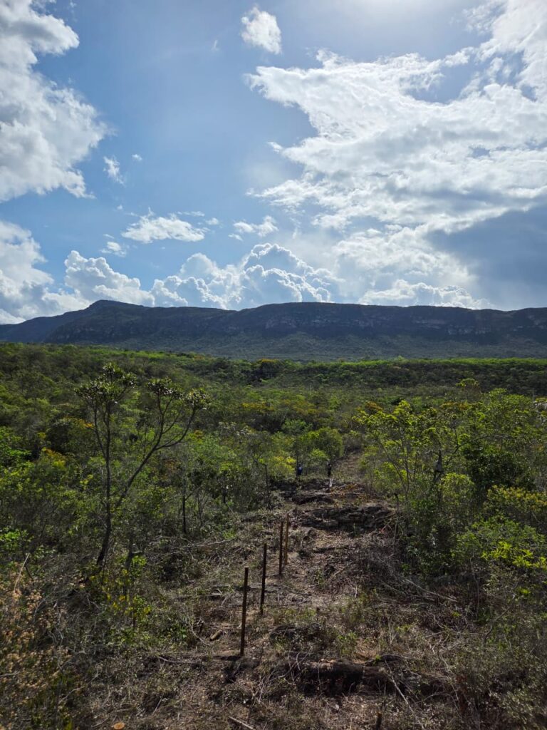 Terreno cercado com cachoeira no quintal na Malhada em Piatã Chapada Diamantina Bahia