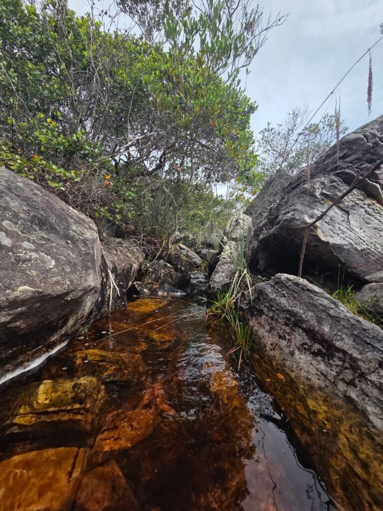 Água da nascente do Rio de Contas em terreno no Gerais de Piatã na Chapada Diamatina