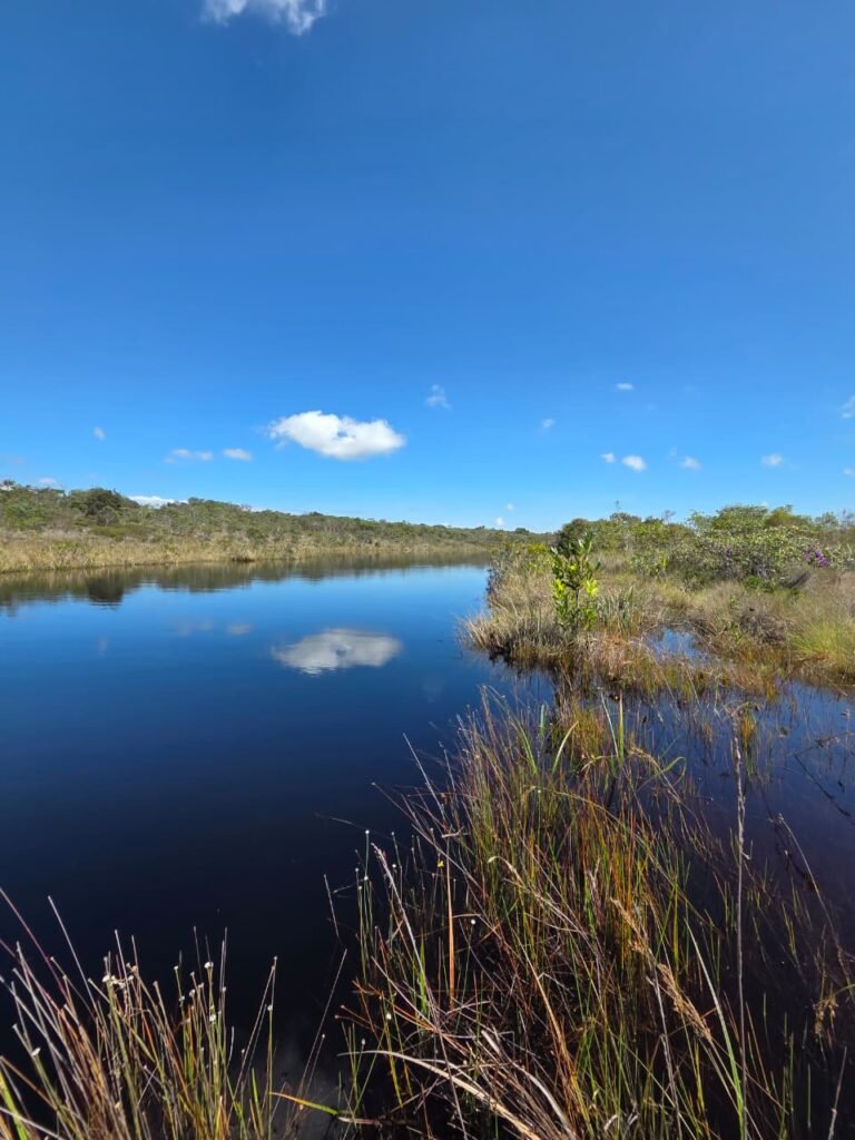 Água da nascente do Rio de Contas em terreno no Gerais de Piatã na Chapada Diamatina