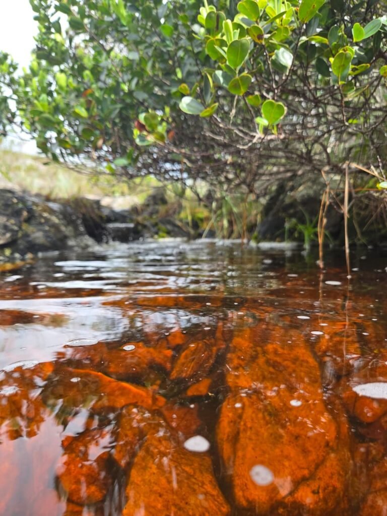 Água da nascente do Rio de Contas em terreno no Gerais de Piatã na Chapada Diamatina