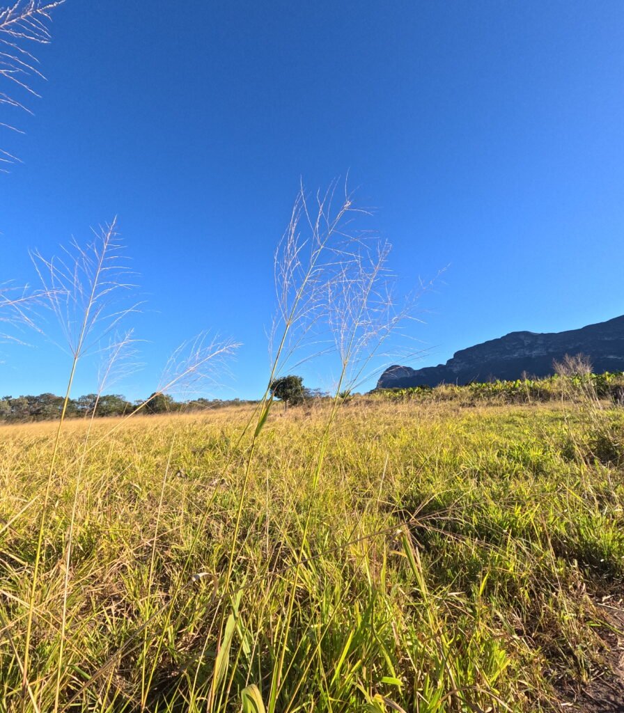 Vista para a serra em sítio em Piatã na Chapada Diamantina