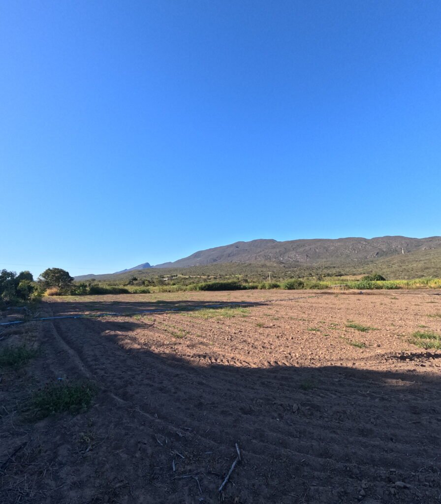 Terra para plantio em sítio em Piatã na Chapada Diamantina
