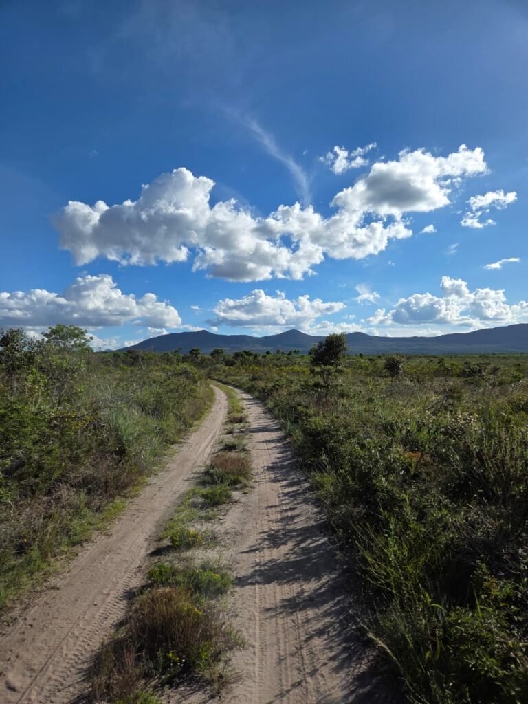 Vista panorâmica e estrada em terreno no Gerais de Piatã na Chapada Diamantina
