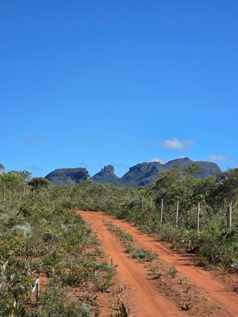 Estrada de terreno cercado a venda em Piatã, na Chapada Diamantina - Bahia
