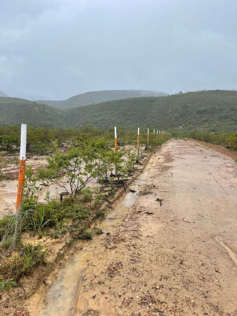 Estrada cercada em em terreno rural, localizado nas Porteiras, em Piatã, na Chapada Diamantina Bahia